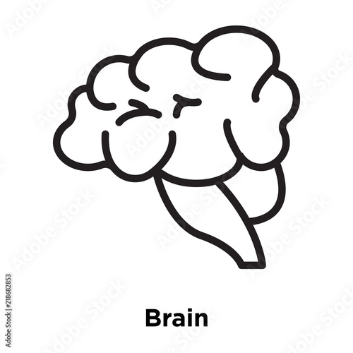 brain icons isolated on white background. Modern and editable brain icon. Simple icon vector illustration.