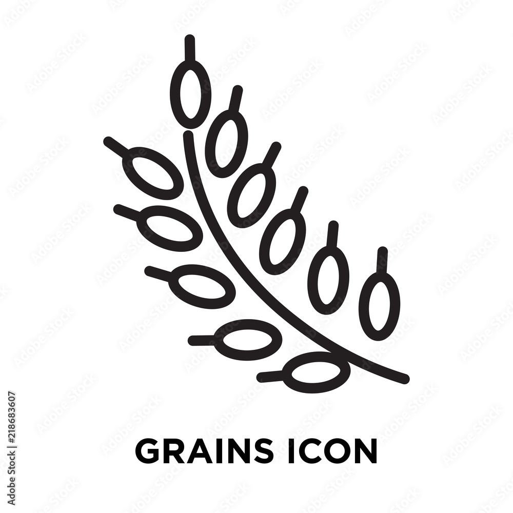 grains icon on white background. Modern icons vector illustration. Trendy grains icons grains icon on white background. Modern icons vector illustration. Trendy grains icons