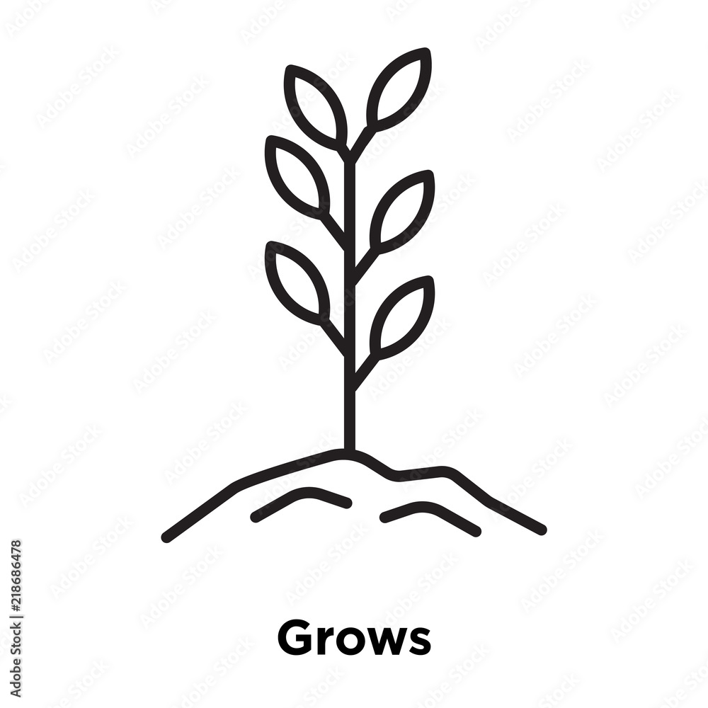 grows icon isolated on white background. Simple and editable grows icons. Modern icon vector illustration. grows icon isolated on white background. Simple and editable grows icons. Modern icon vector illustration.
