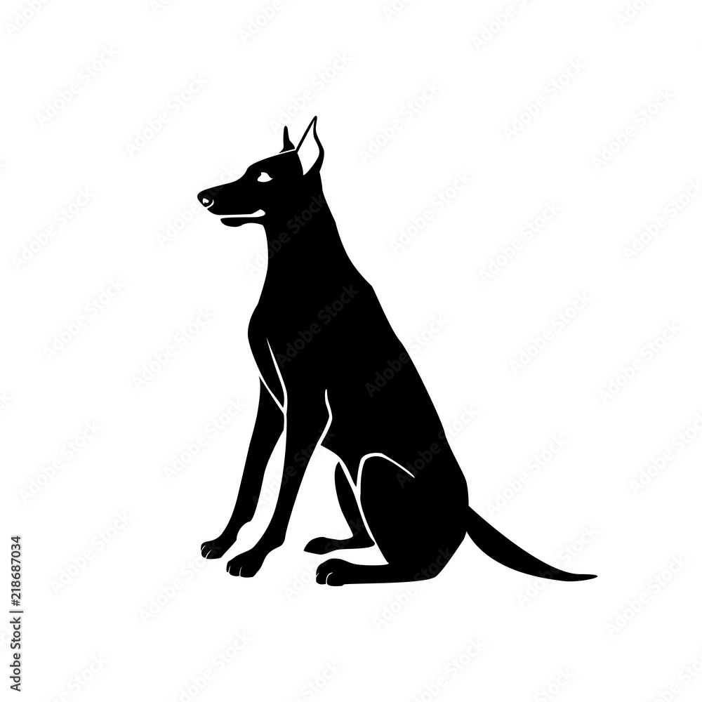 Silhouette of a dog.Vector illustration of doberman pinscher.