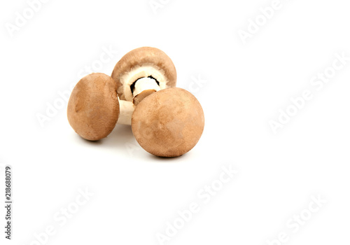 Agaricus bisporus or portobello mushroom on white background..healthy and benefits of brown mushroom.