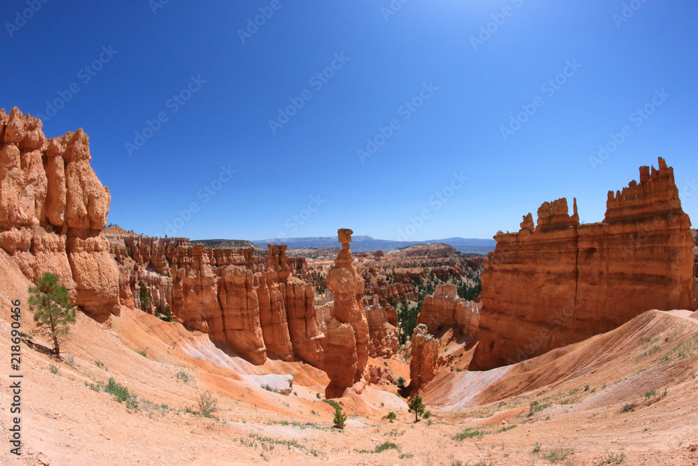 Fototapeta premium Thor's hammer in Bryce Canyon
