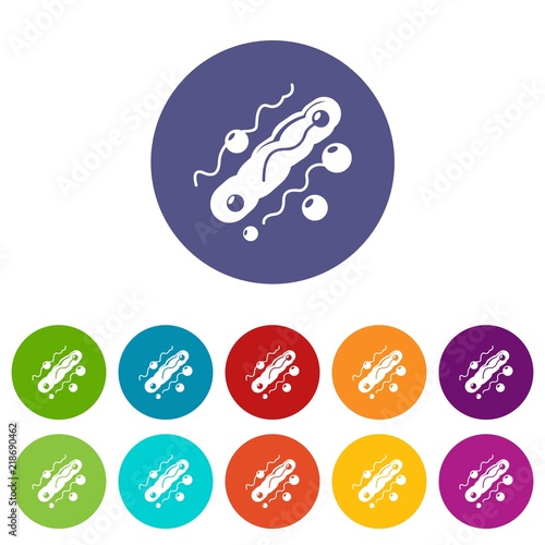 Corynebacterium icons color set vector for any web design on white background