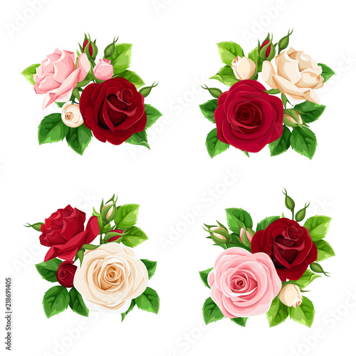 Vector set of pink  burgundy and white roses isolated on a white background.