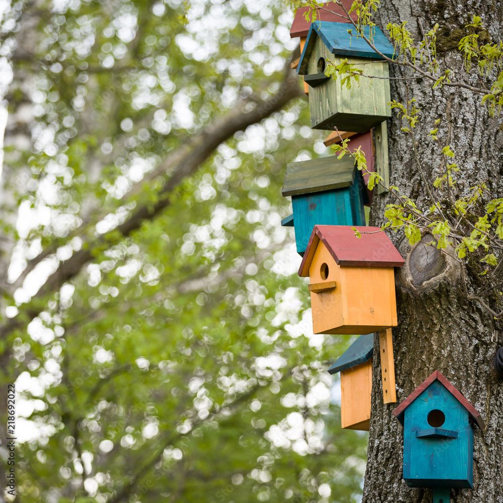 Many colorful birdhouses on a big tree in a park.