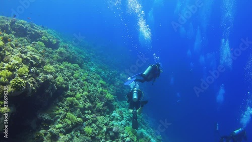 Wallpaper Mural Divers Swims over Coral Reefs Torontodigital.ca
