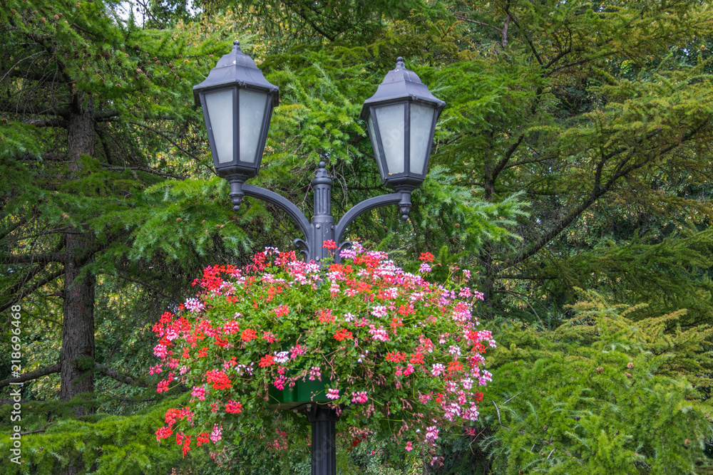 Street lamp in the park, decorated with curling flowers. Street lamp in the park, decorated with curling flowers.