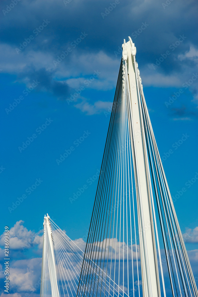 Obraz premium Beautiful pedestrian bridge between France and Germany