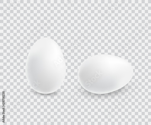 Two realistic white eggs. Isolated vector on transparent background. Illustration for bird eggs, food, poultry farming, gastronomy, cooking, etc