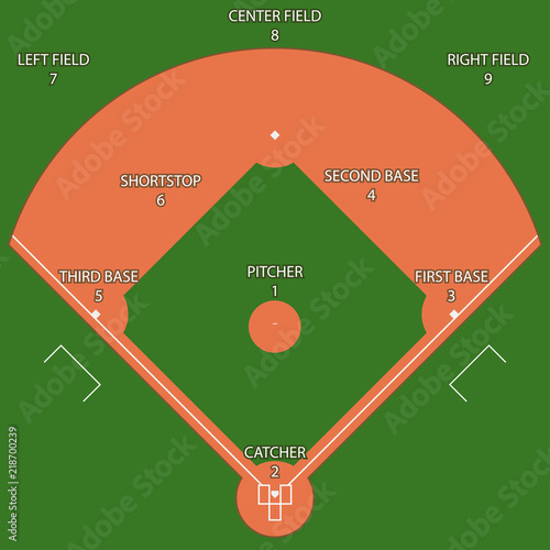 Baseball green field with white line markup vector