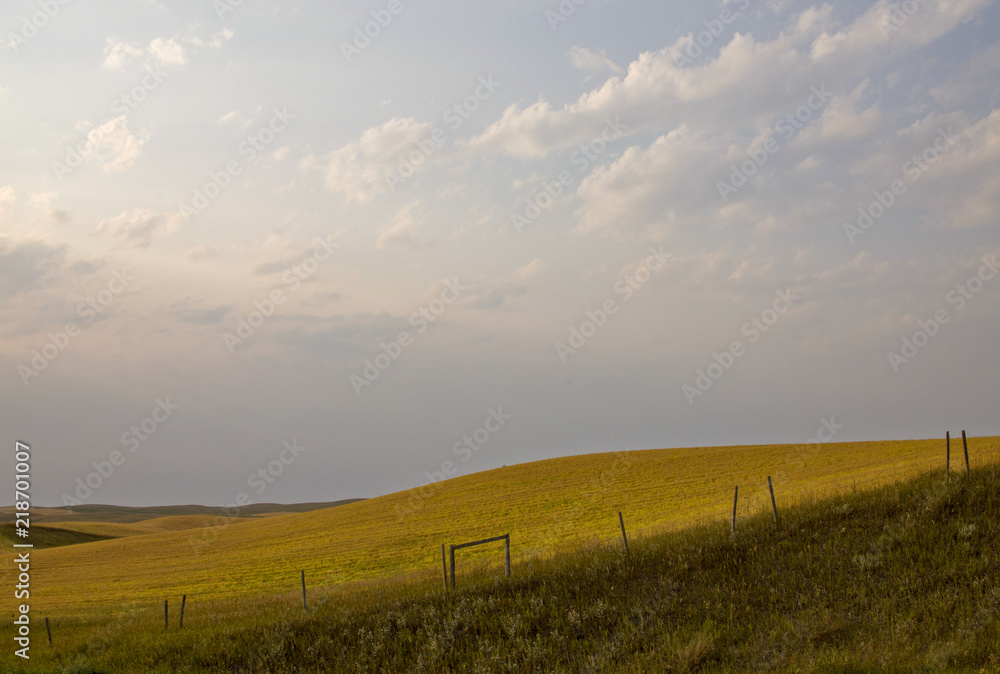 Obraz premium Summer Prairie Scene