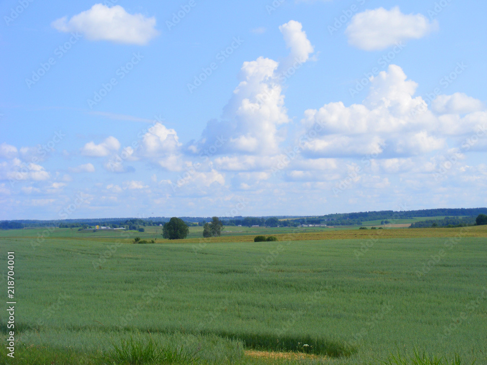 Green landscape. Summer countryside fields. Scenic landscape in Belarus