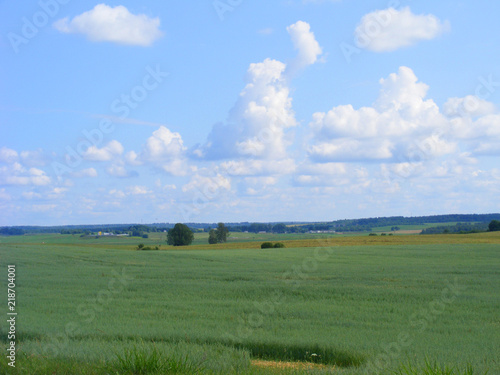 Green landscape. Summer countryside fields. Scenic landscape in Belarus