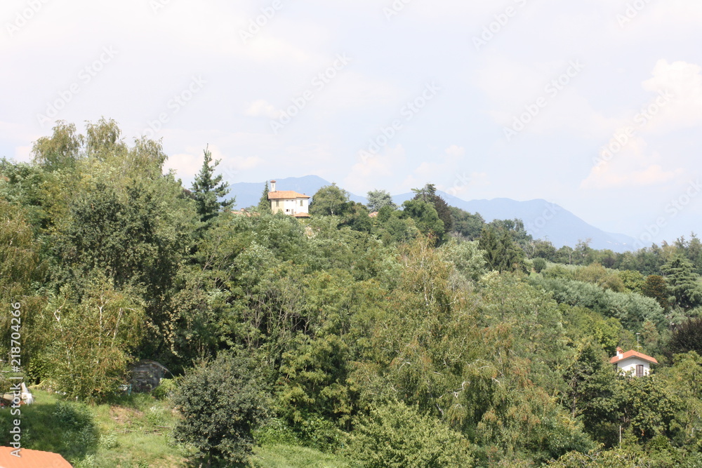 collina collina