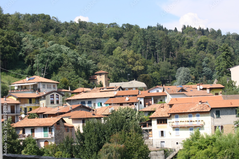 collina collina