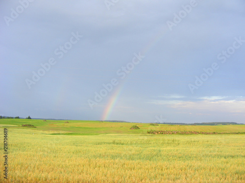 Rainbow in the sky over field of oast