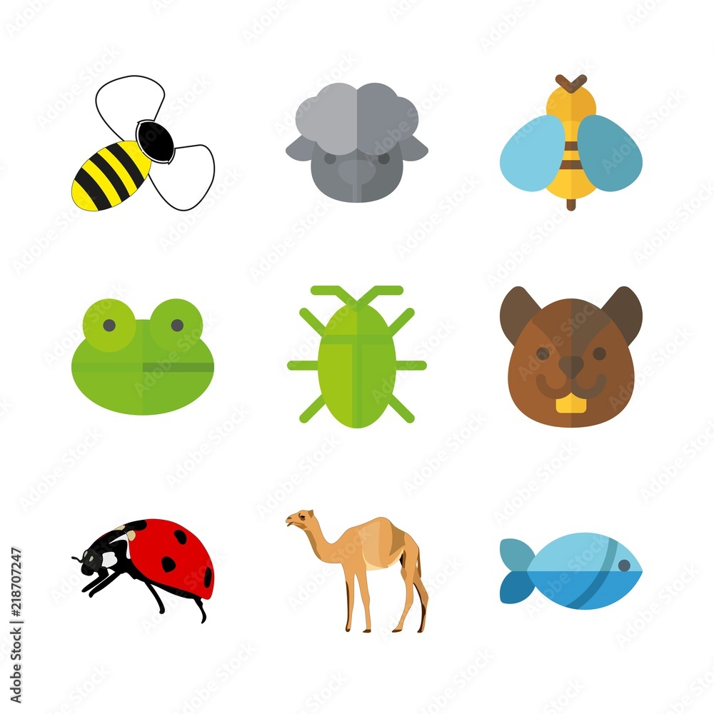 animal icons set. european, meadow, whisker and single graphic works animal icons set. european, meadow, whisker and single graphic works