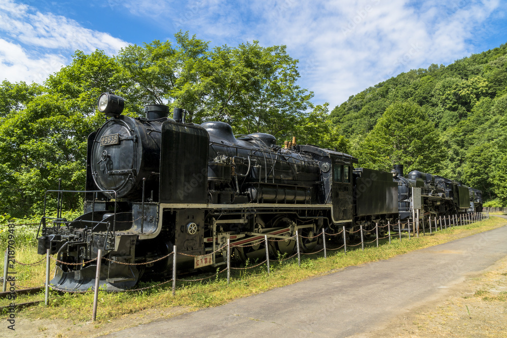 Naklejka premium 神居古潭の三十連の蒸気機関車