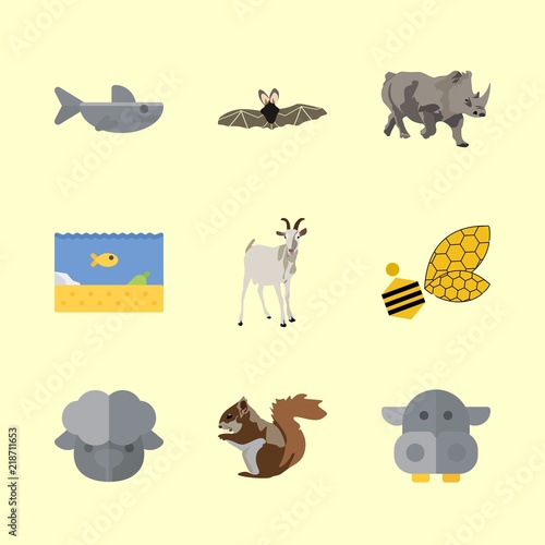 9 animal icons set