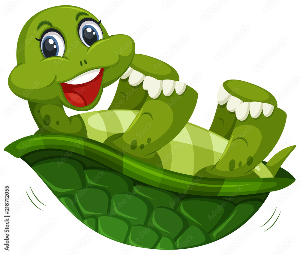Fototapeta premium A cute turtle on whitw background