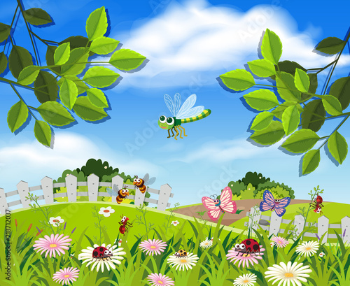 A beautiful garden and insects