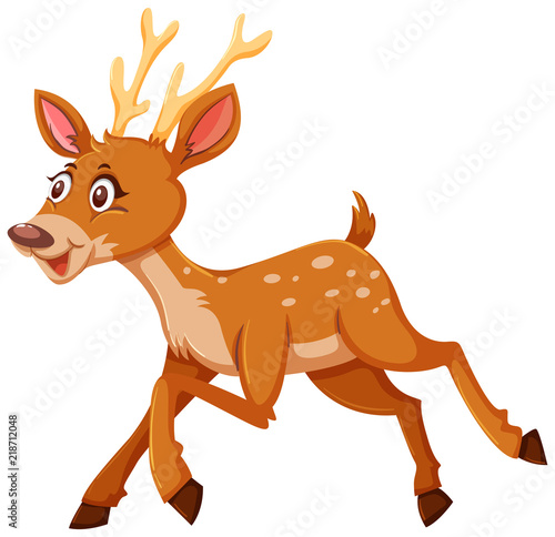 A cute deer on white background