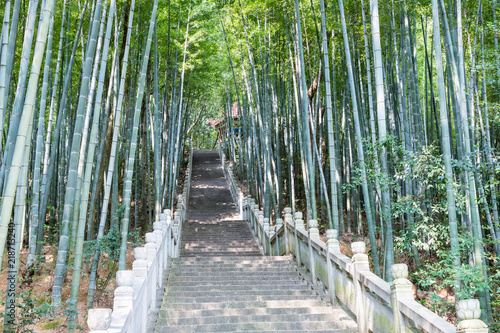 bamboo forest and stone steps