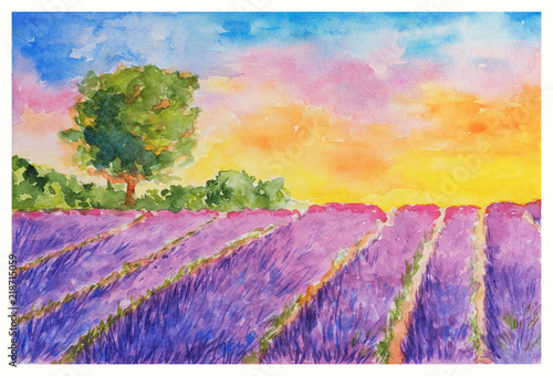 Summer Landscape: Booming Violet Lavender Field and Single Tree at Sunset, Watercolor Hand Drawn and Painted