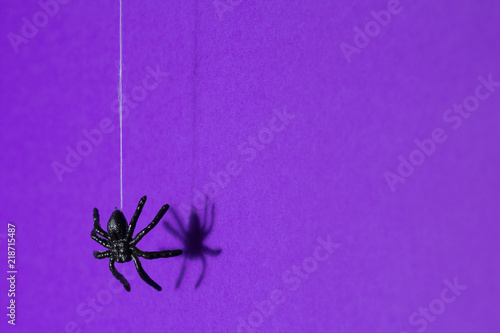 Halloween background concept. Black spider shadow and silhouette hanging on web on purple background © Vergani Fotografia