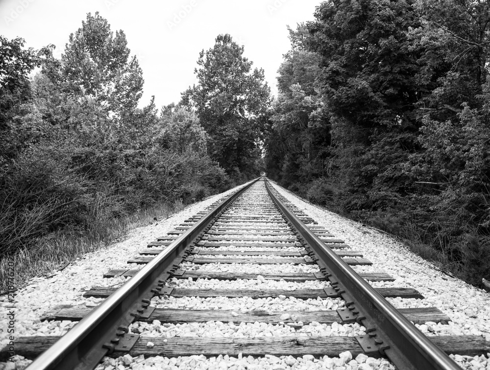 Train railroad bridge across trees