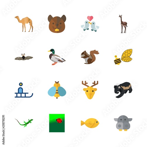 Fototapeta Naklejka Na Ścianę i Meble -  animal vector icons set. gazelle, squirrel, badger and wasp in this set
