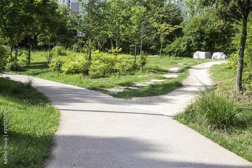 A fork in a country forest road A fork in a country forest road