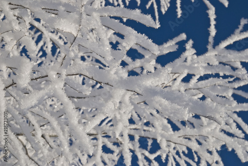 frost
