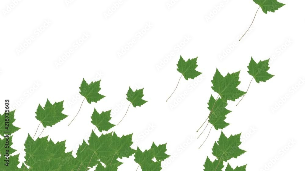 4k Abstract 3d maple plant leaves autumn tree space particle design romance wind blowing art background. 4k Abstract 3d maple plant leaves autumn tree space particle design romance wind blowing art background.