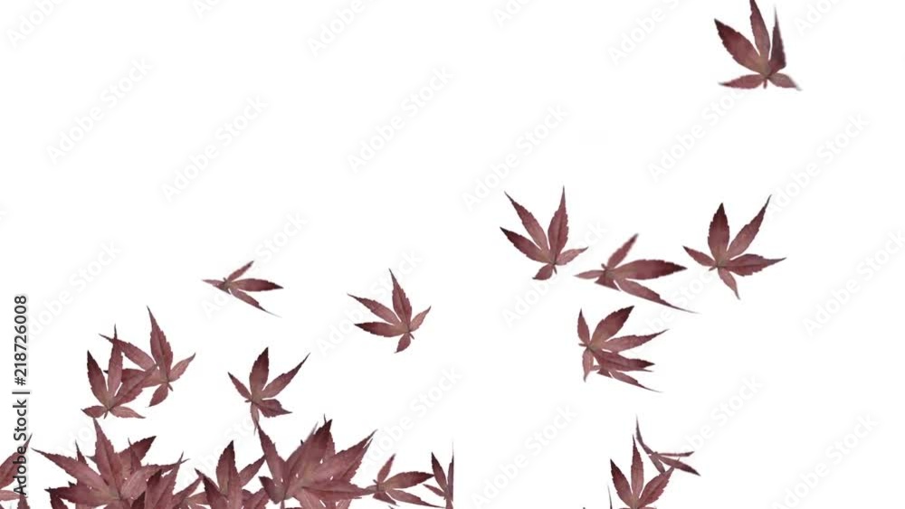 4k Abstract 3d maple plant leaves autumn tree space particle design romance wind blowing art background. 4k Abstract 3d maple plant leaves autumn tree space particle design romance wind blowing art background.