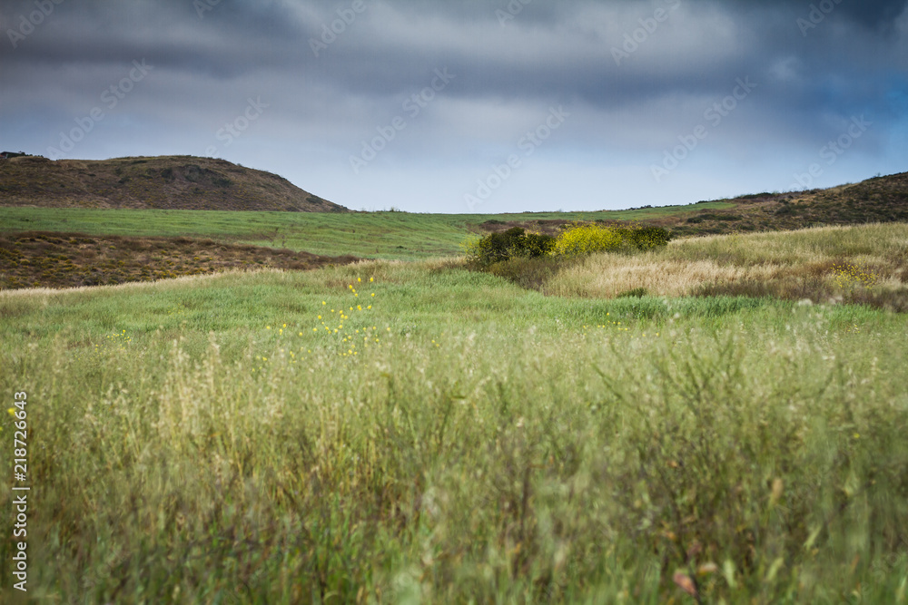 Natural Landscapes