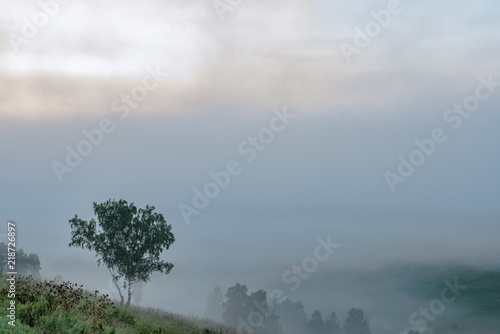 Morning dense fog covering valley and trees 