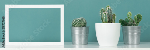 Collection of various cactus plants in different pots. Potted house plants on white shelf against turquoise colored wall and picture frame mock up banner.