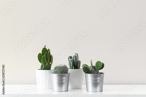 Modern room decoration. Various cactus house plants in different pots against white wall. Cactus mania concept with copy space.
