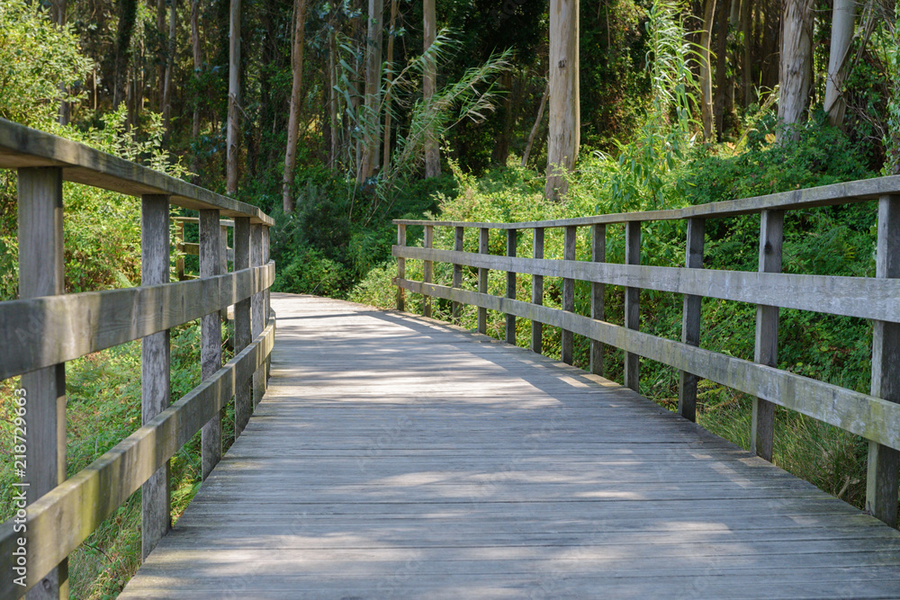 wooden walkway with a railing in the forest