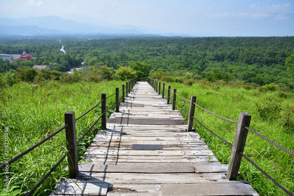 山梨県北杜市 八ヶ岳 美し森ハイキング 山梨県北杜市 八ヶ岳 美し森ハイキング