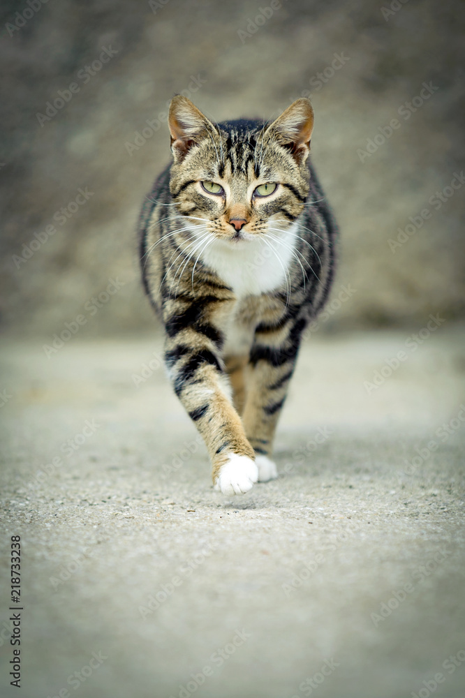 Naklejka premium Target locked