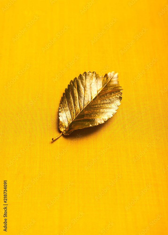 Obraz premium Autumn golden Leaf with copy space