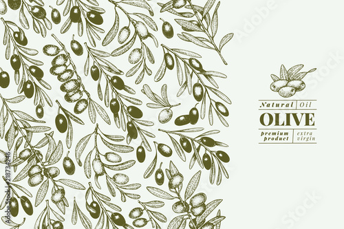 Olive tree banner template. Vector vintage illustration. Hand drawn engraved style background. Design for olive oil, olive packaging, natural cosmetics, health care products. Retro style image.