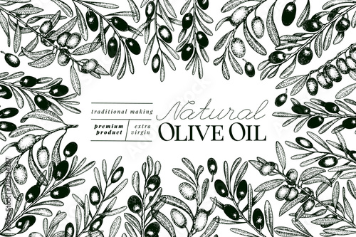 Olive tree banner template. Vector vintage illustration. Hand drawn engraved style frame. Design for olive oil, olive packaging, natural cosmetics, health care products. Retro style image.