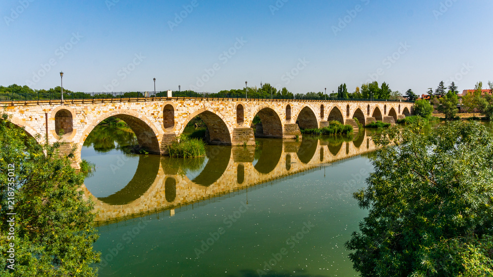 Puente de Piedra Bridge in Zamora Spain