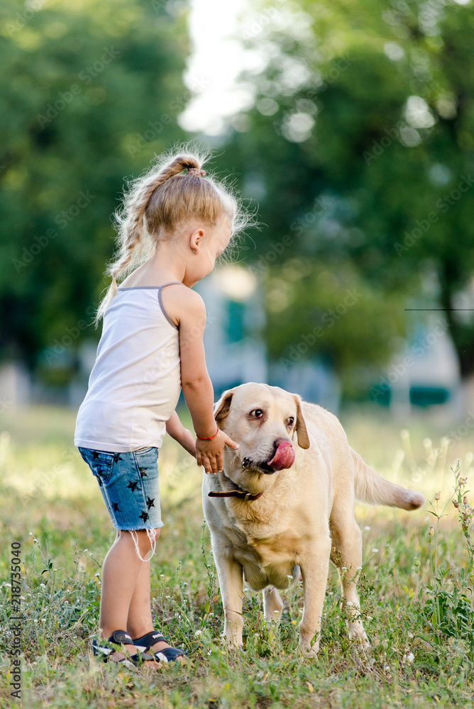Little girl is playing with a labrador in the park.