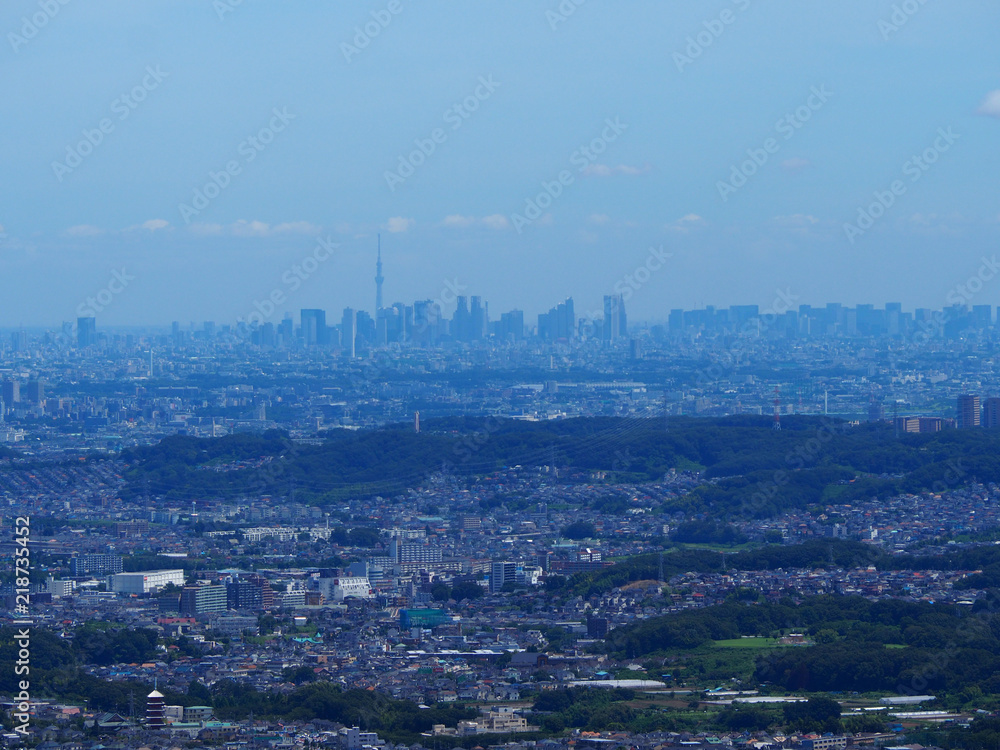 高尾山からの眺望～東京都心方面