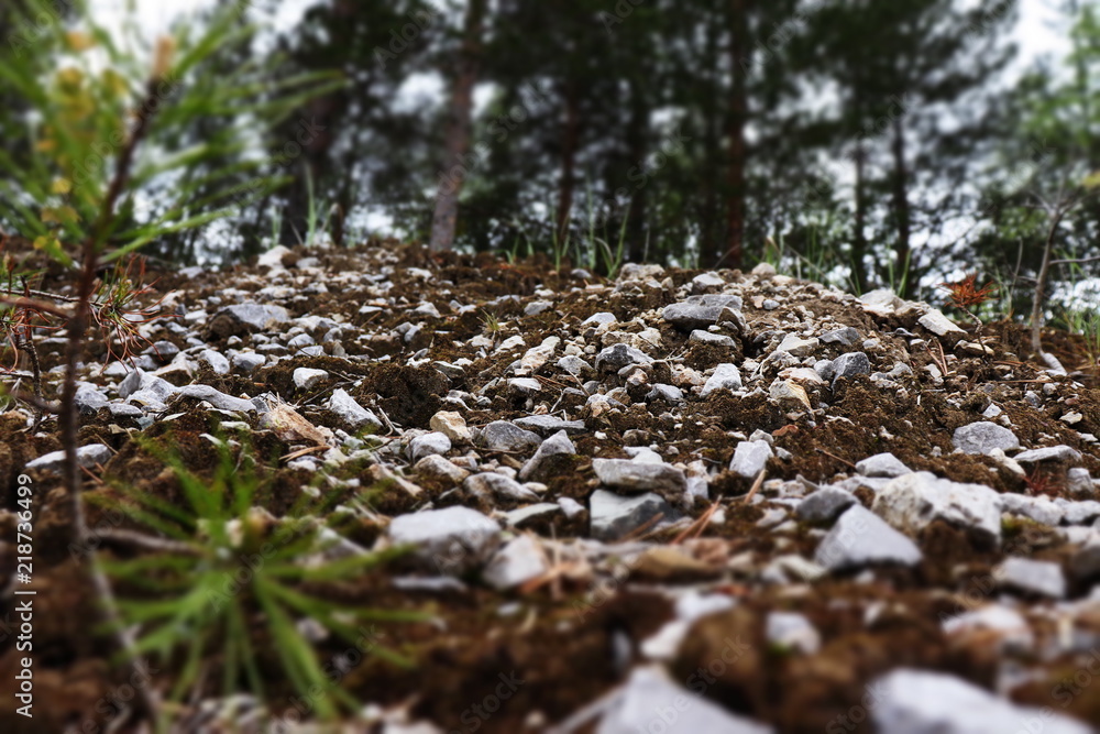 slope rock slope rock