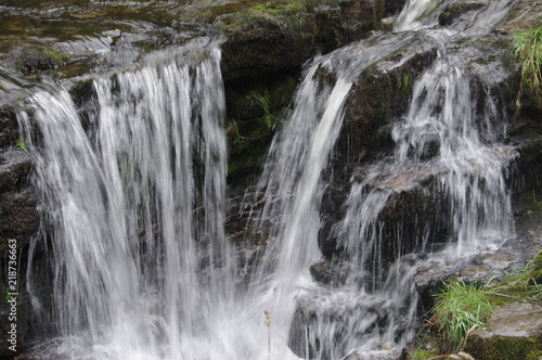 brecon forest waterfall woodland